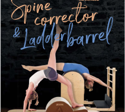 Manual “Ladder Barrel and Spine corrector”