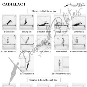 Poster in black and white: Cadillac Intermediate