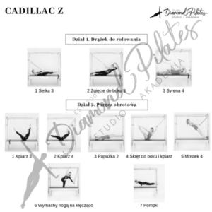 Plakat czarno-biały: Cadillac Zaawansowany